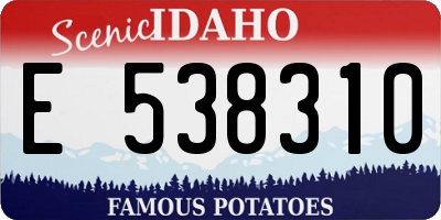ID license plate E538310