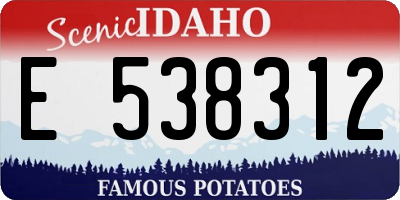 ID license plate E538312