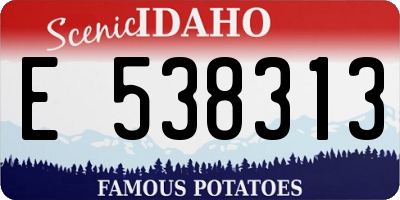 ID license plate E538313