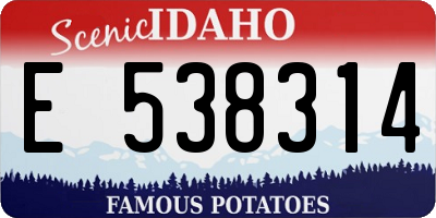ID license plate E538314