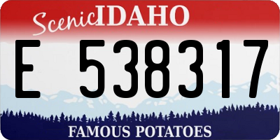 ID license plate E538317