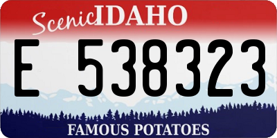ID license plate E538323