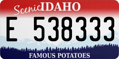 ID license plate E538333
