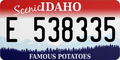 ID license plate E538335