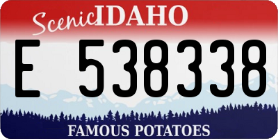 ID license plate E538338