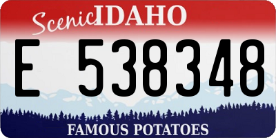 ID license plate E538348
