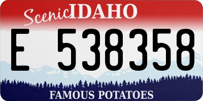 ID license plate E538358
