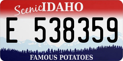 ID license plate E538359