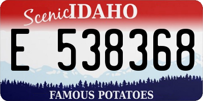 ID license plate E538368