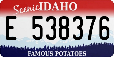 ID license plate E538376