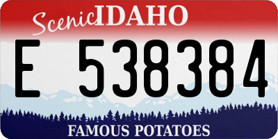 ID license plate E538384