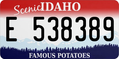 ID license plate E538389