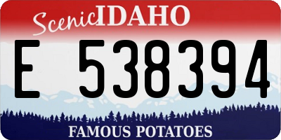 ID license plate E538394