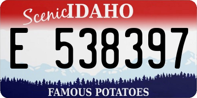 ID license plate E538397