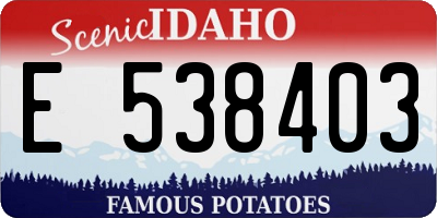 ID license plate E538403