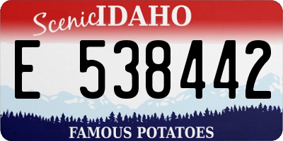 ID license plate E538442