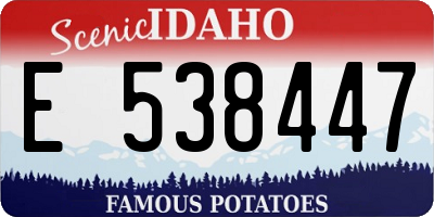 ID license plate E538447