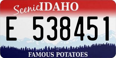 ID license plate E538451
