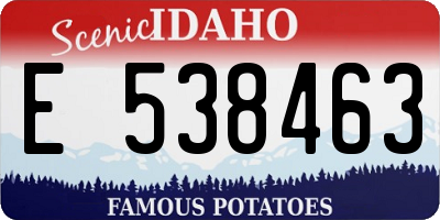 ID license plate E538463