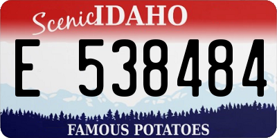 ID license plate E538484