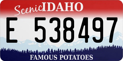 ID license plate E538497