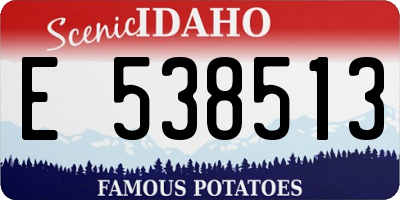 ID license plate E538513
