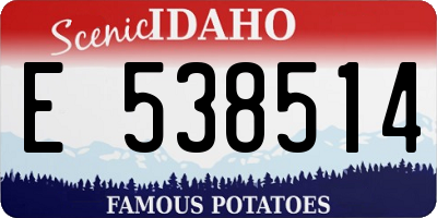ID license plate E538514