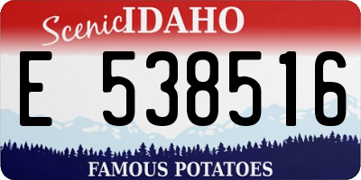 ID license plate E538516
