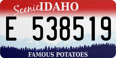 ID license plate E538519