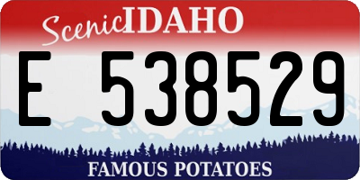 ID license plate E538529
