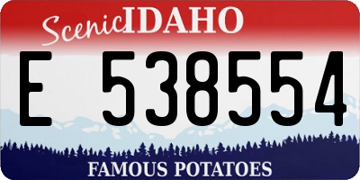 ID license plate E538554