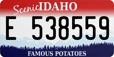 ID license plate E538559