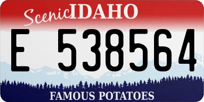 ID license plate E538564