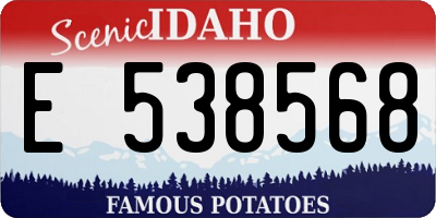 ID license plate E538568