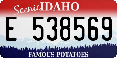 ID license plate E538569