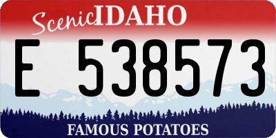 ID license plate E538573