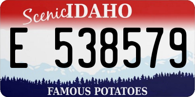 ID license plate E538579