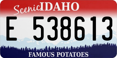 ID license plate E538613