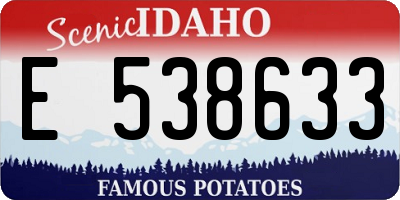 ID license plate E538633