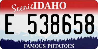 ID license plate E538658