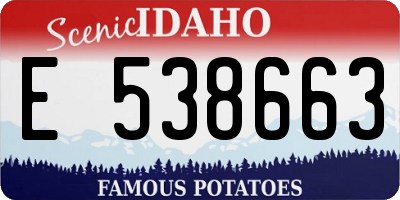 ID license plate E538663