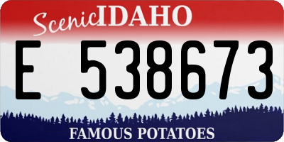 ID license plate E538673
