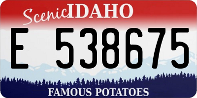 ID license plate E538675