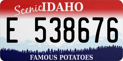 ID license plate E538676