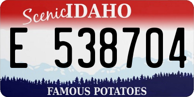 ID license plate E538704