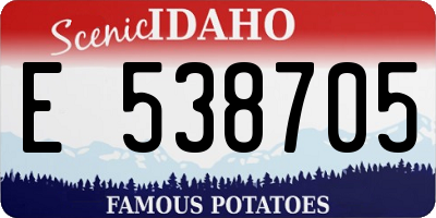 ID license plate E538705