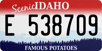 ID license plate E538709
