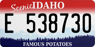 ID license plate E538730