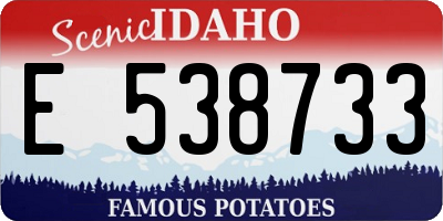 ID license plate E538733