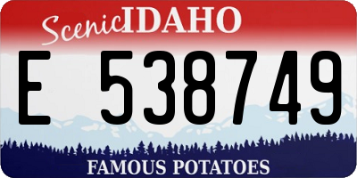ID license plate E538749
